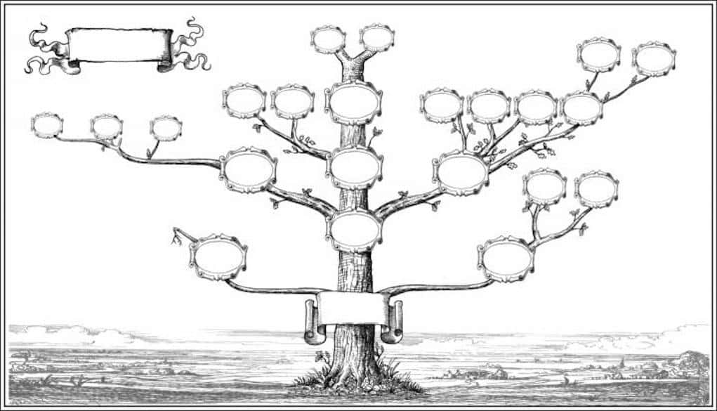 Drzewo Genealogiczne Online